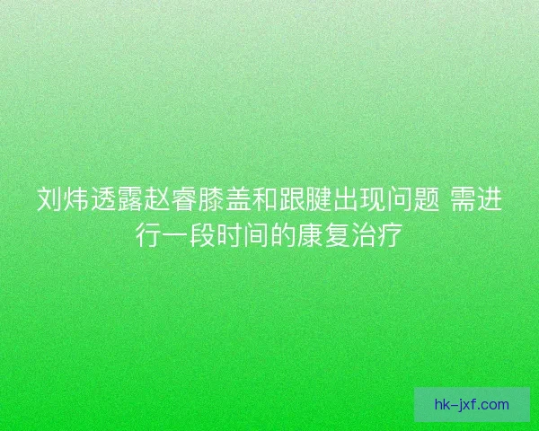 刘炜透露赵睿膝盖和跟腱出现问题 需进行一段时间的康复治疗